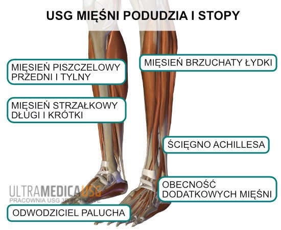 Badanie ultrasonograficzne mięśni podudzia i stopy